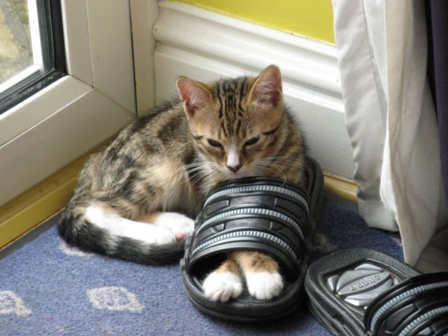 联盟现役球星身体天赋对比,nba球星身体天赋排名