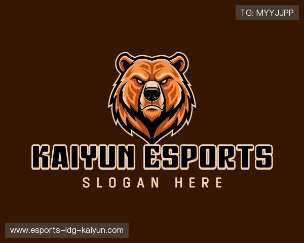 了解开云电竞官网