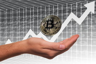开云体育全站-英超俱乐部母公司上市路径与股价波动分析，英超球队股份