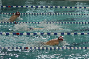 开云中国-中国游泳运动员世锦赛接力项目表现抢眼，中国游泳接力夺金