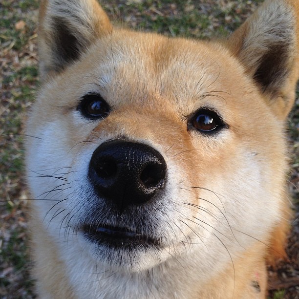 中小学体育课程内容丰富多样,中小学体育课的重要性