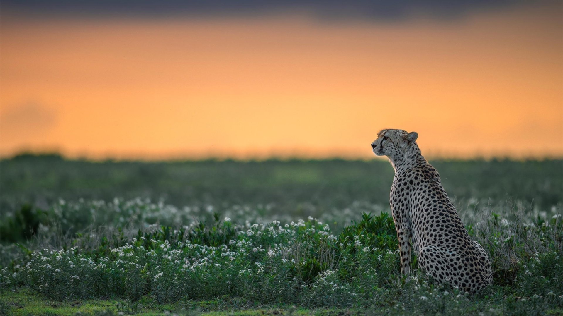 开云APP-裁判员执法水平不断提高赛事公平，竞赛过程中如何对裁判员进行管理