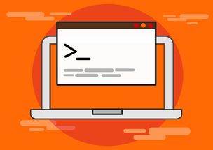 开云真人体育娱乐-青少年比赛引入技术监测系统保障公平，2020年青少年比赛