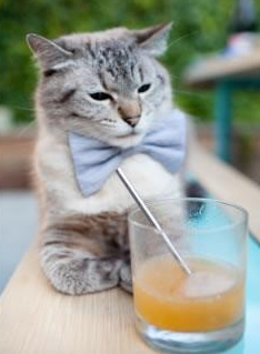 开云官网登录-“尼古拉斯·桑特基：阿根廷美洲狮队的核心人物，未来前景广阔”