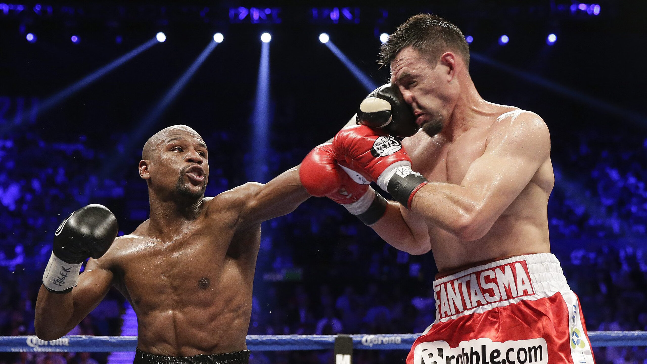 足球赔率预测系统介绍